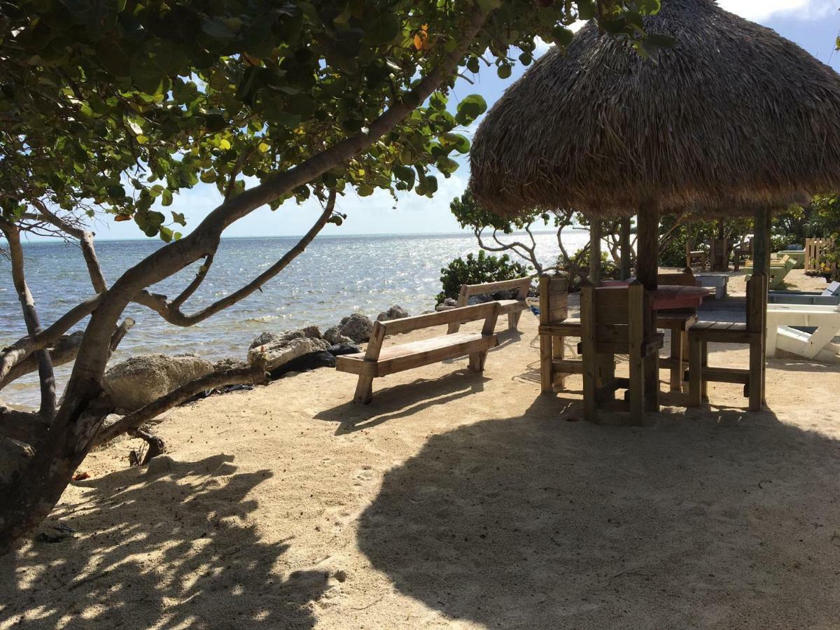 Licensed Mgr - Modern Oceanfront Condo! Beautiful Ocean Views! Beach Resort! 2 King Beds! Key Largo Eksteriør bilde