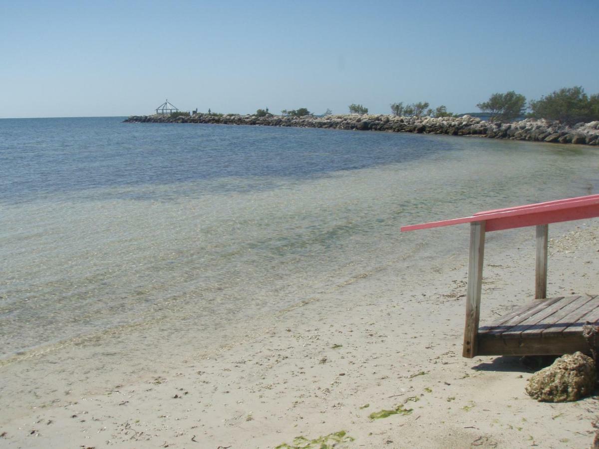 Licensed Mgr - Modern Oceanfront Condo! Beautiful Ocean Views! Beach Resort! 2 King Beds! Key Largo Eksteriør bilde