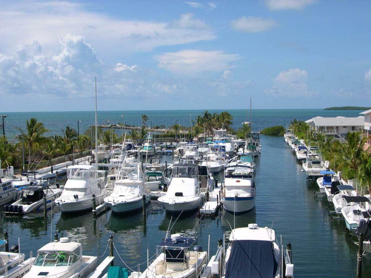 Licensed Mgr - Modern Oceanfront Condo! Beautiful Ocean Views! Beach Resort! 2 King Beds! Key Largo Eksteriør bilde
